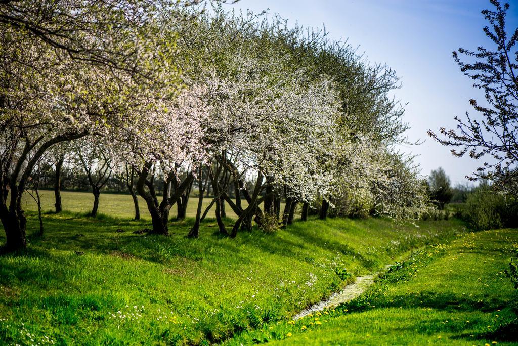 מלון Bernāti Ergli מראה חיצוני תמונה